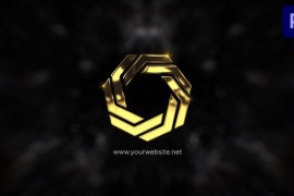 Luxury Gold Logo Reveal / PP 43540675