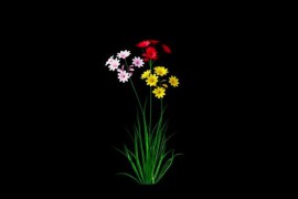 Bouquet Colored Flowers Growing Alpha Channel 51498501