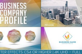 Business Company Profile 20274491