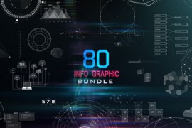 80 Infographic Bundle 48543442