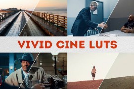 Vivid Cine LUTs | DaVinci Resolve 51548607