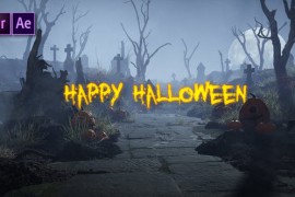 Halloween Intro 48938101