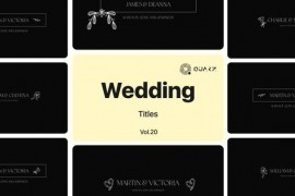 Wedding Titles Vol. 20 48929031