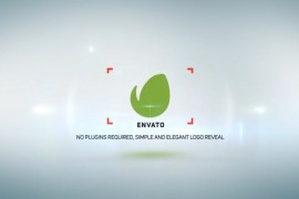 Modern Logo Reveal 3 Premiere Pro 50143255