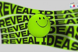 3D & Color Typo Reveal 48949005