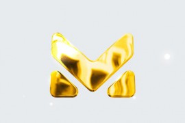 Logo Reveal 43100530