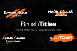 20 Brush Titles 47490617