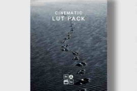 Envijon – Cinematic Video LUTs