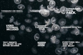 Typography Titles Text 51549980