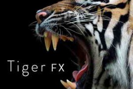 Sound Ideas Tiger FX FLAC