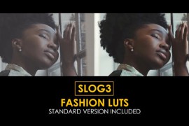 Slog3 Fashion and Standard Color LUTs 48800584