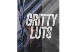Acidbite - Gritty LUTs