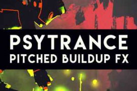 Function Loops Psytrance Pitched Buildup FX WAV-DISCOVER