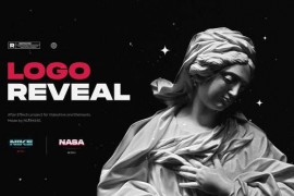 Logo Reveal 45528863