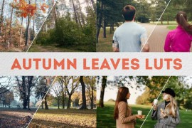 Autumn Leaves LUTs | FCPX 49276762
