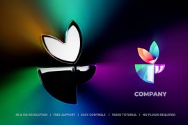 Opener Logo Reveal 52603036