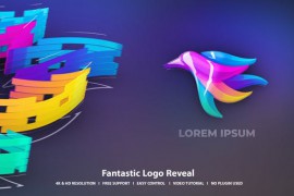Logo Intro 48281687