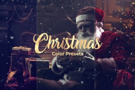 Christmas LUTs | Premiere Pro 49190114