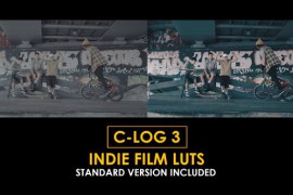 C-Log3 Indie Film and Standard Color LUTs 51227595