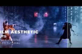 Film Aesthetic LUTs 43896738