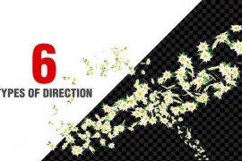 Flowers Spiral Pack V10 51533132