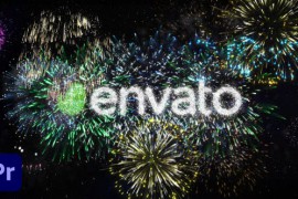 Fireworks/Celebrating Holiday New Year Logo 48437935