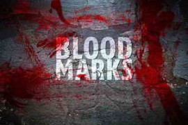 200+ Blood Brushes Collection for Photoshop