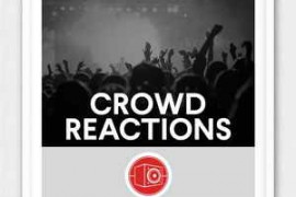 Big Room Sound Crowd Reactions WAV