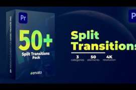 Split Transitions 46445313