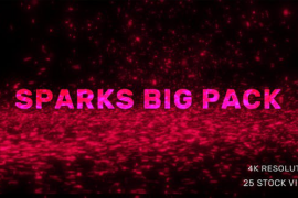 Sparks Big Pack 33071296