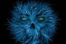 Audiomeals Dark Creature Sounds 96kHZ/192kHZ WAV-DECiBEL