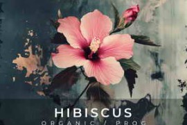 Free Download:Zenhiser Hibiscus - Organic / Progressive WAV-FANTASTiC