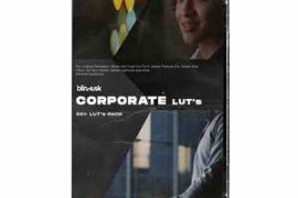 Blindusk – Corporate LUTs