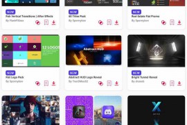 2024.5.28.44.Set.AE.Templates