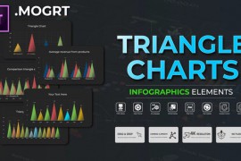 Infographic - Triangle Charts MOGRT 51480011