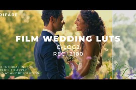 Luts Film Wedding C-Log2 44234677