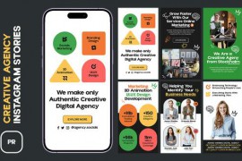 Creative Agency Instagram Stories MOGRT 47564527