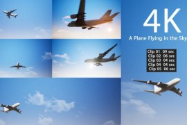 A Plane Flying In The Sky Pack 23211129