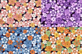 Flower Transitions 51251573