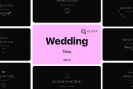 Wedding Titles Vol. 12 48928920