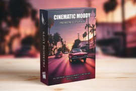 Cinematic Film Look LUTs: Professional Hollywood-Grade Color Presets for Filmmakers 50243984