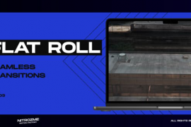 Flat Roll Transitions Vol. 03 47616907