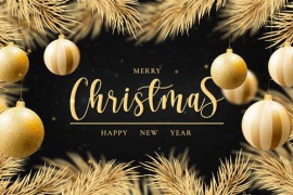 Merry Christmas Intro | MOGRT 49313507