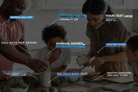 Call - Out Titles| After Effects 48579810