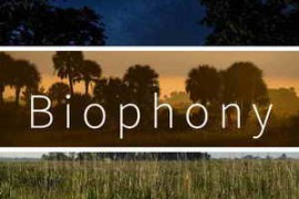 Pro Sound Effects Biophony WAV-FANTASTiC