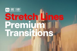 Premium Transitions Stretch Lines 51936955