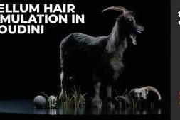 The Gnomon Workshop – Vellum Hair Simulation in Houdini