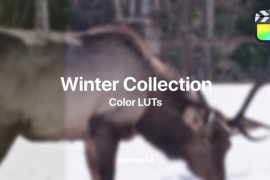 Winter LUTs Collection Vol. 14 50022437