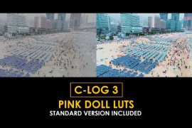 C-Log3 Pink Doll and Standard Color LUTs 51128076