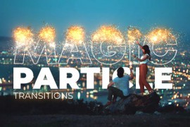 Magic Particle Transitions 48461961